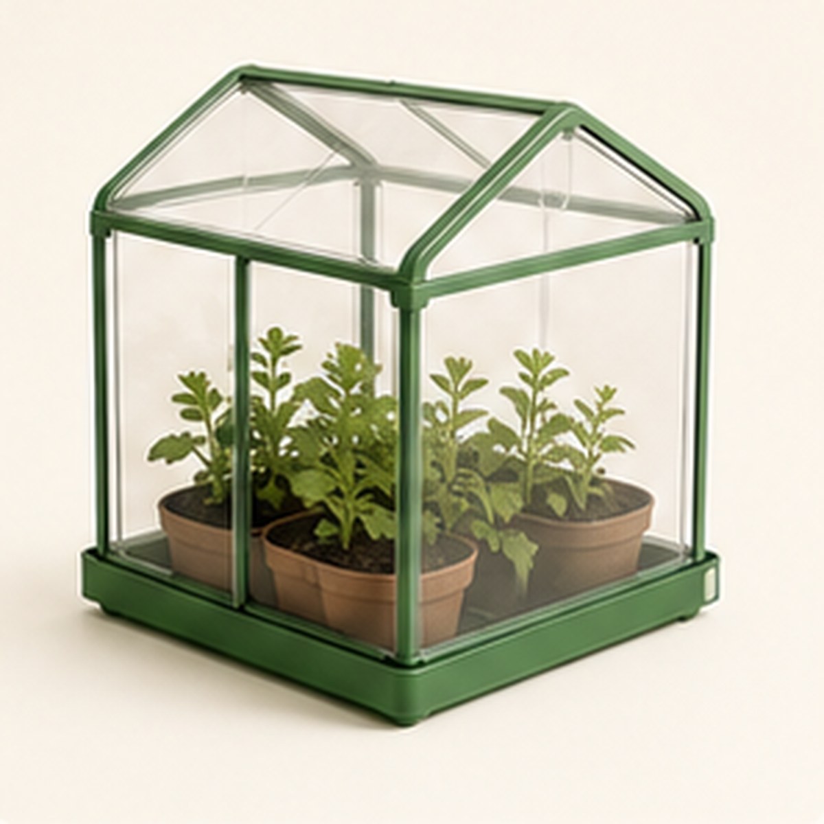 Plant and Grow Greenhouse