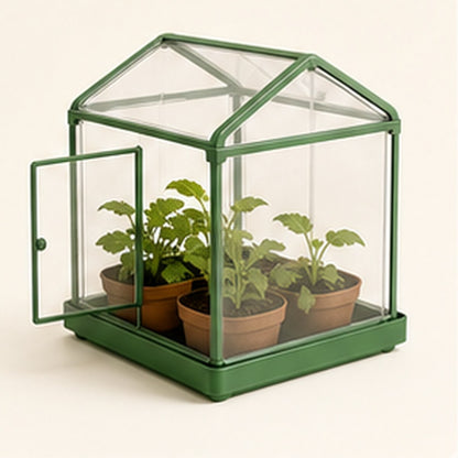Plant and Grow Greenhouse